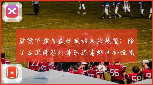 爱德华兹与森林狼的未来展望：除了后卫阵容外球队还需哪些补强措施